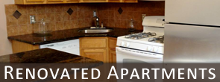 Kitchen - Apartment Rentals